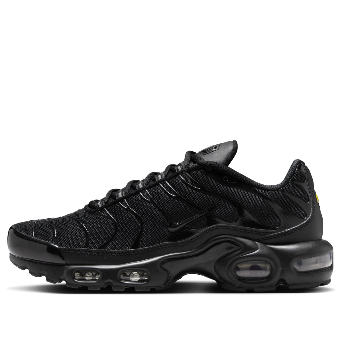 Nike Air Max Plus Triple Black Sneakers