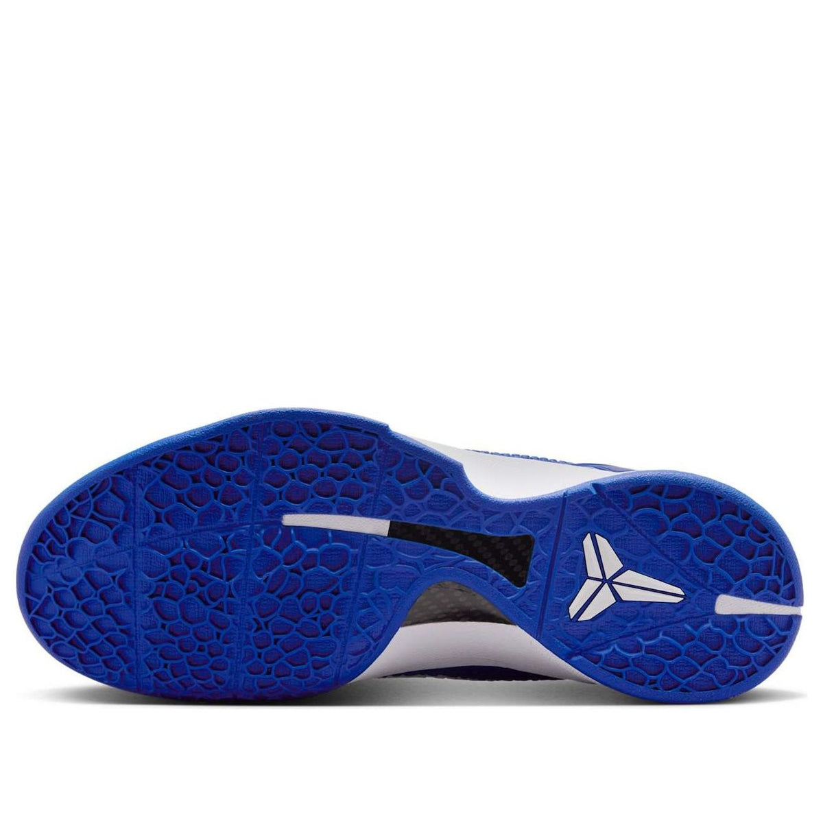 Nike Blue Zoom Air Basketball Sneakers